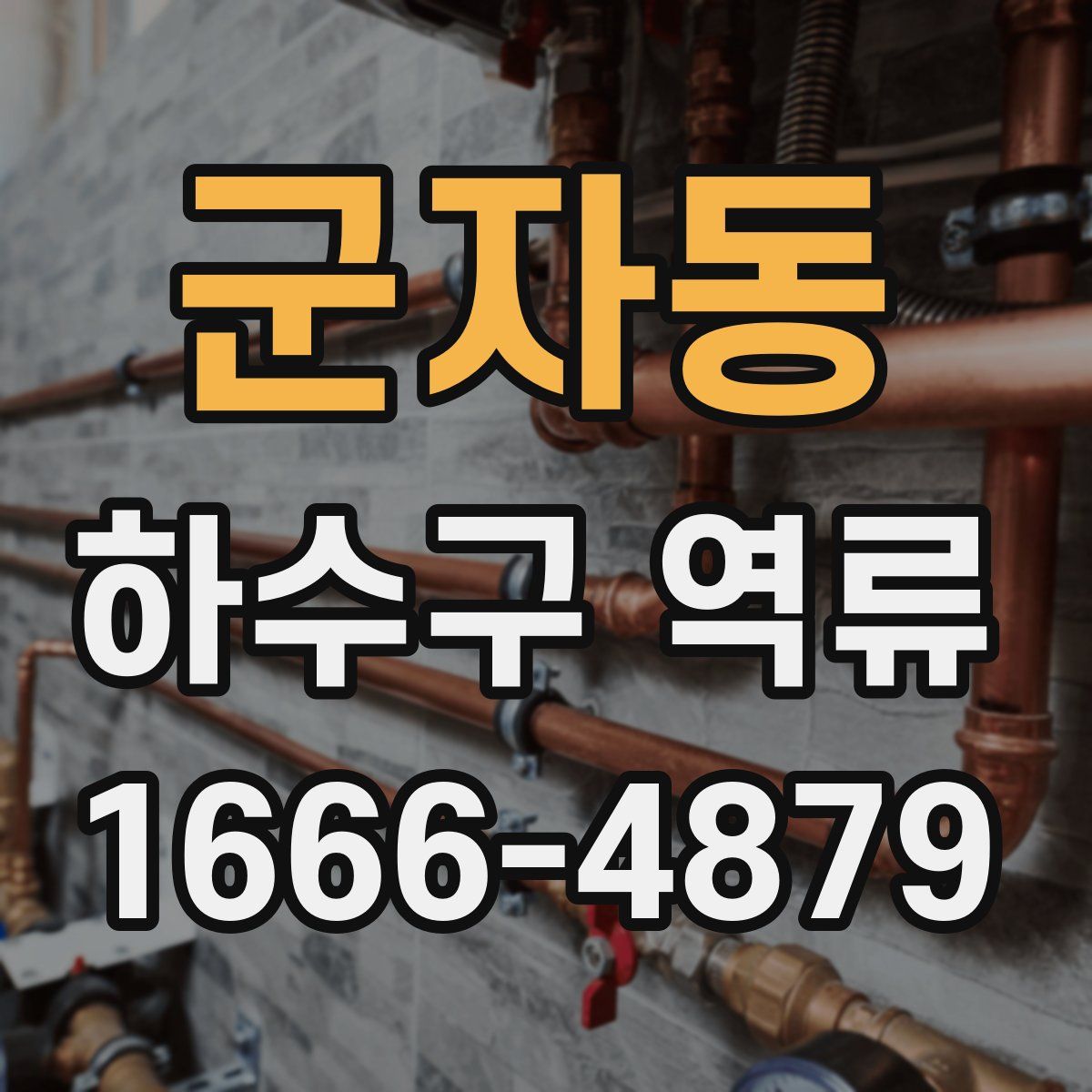 군자동 하수구 역류
