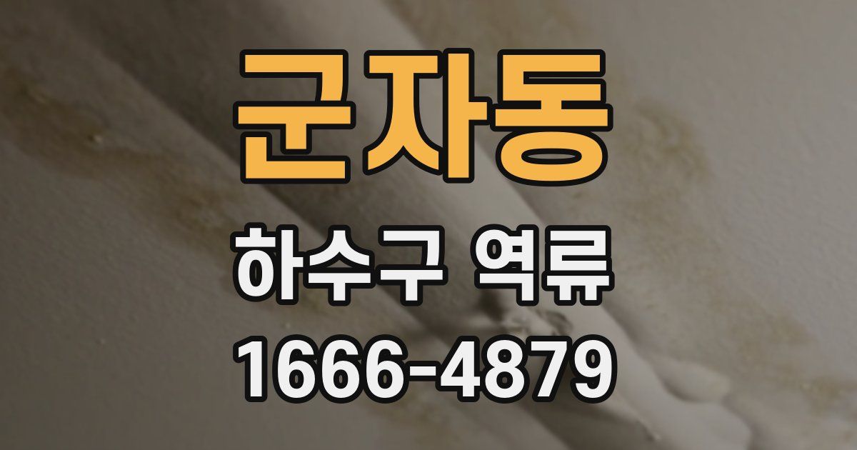 군자동 하수구 역류