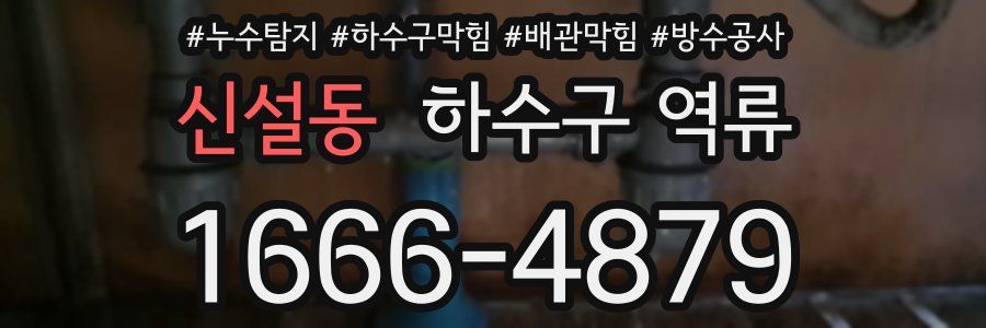 신설동 하수구 역류