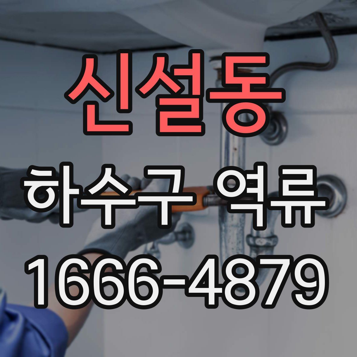 신설동 하수구 역류