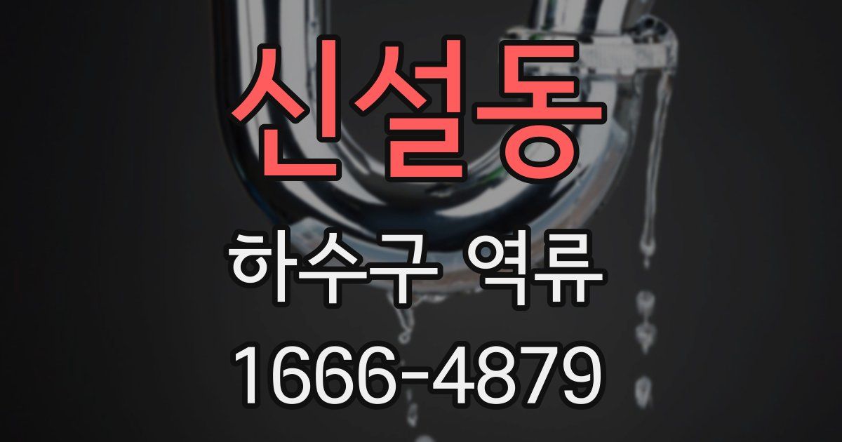 신설동 하수구 역류