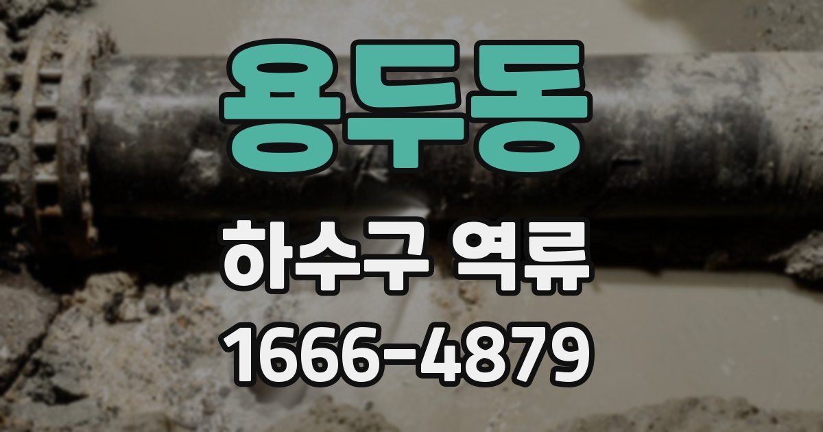 용두동 하수구 역류