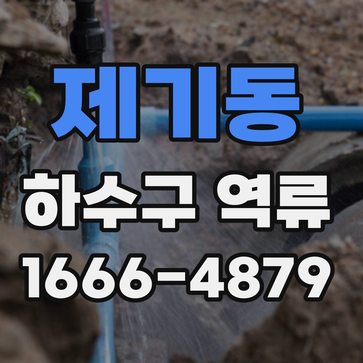 제기동 하수구 역류