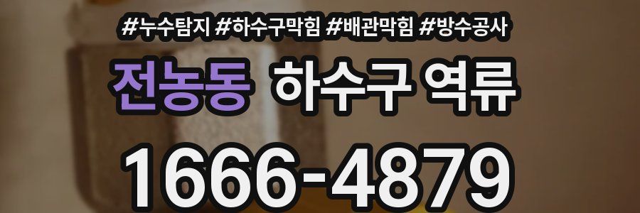 전농동 하수구 역류