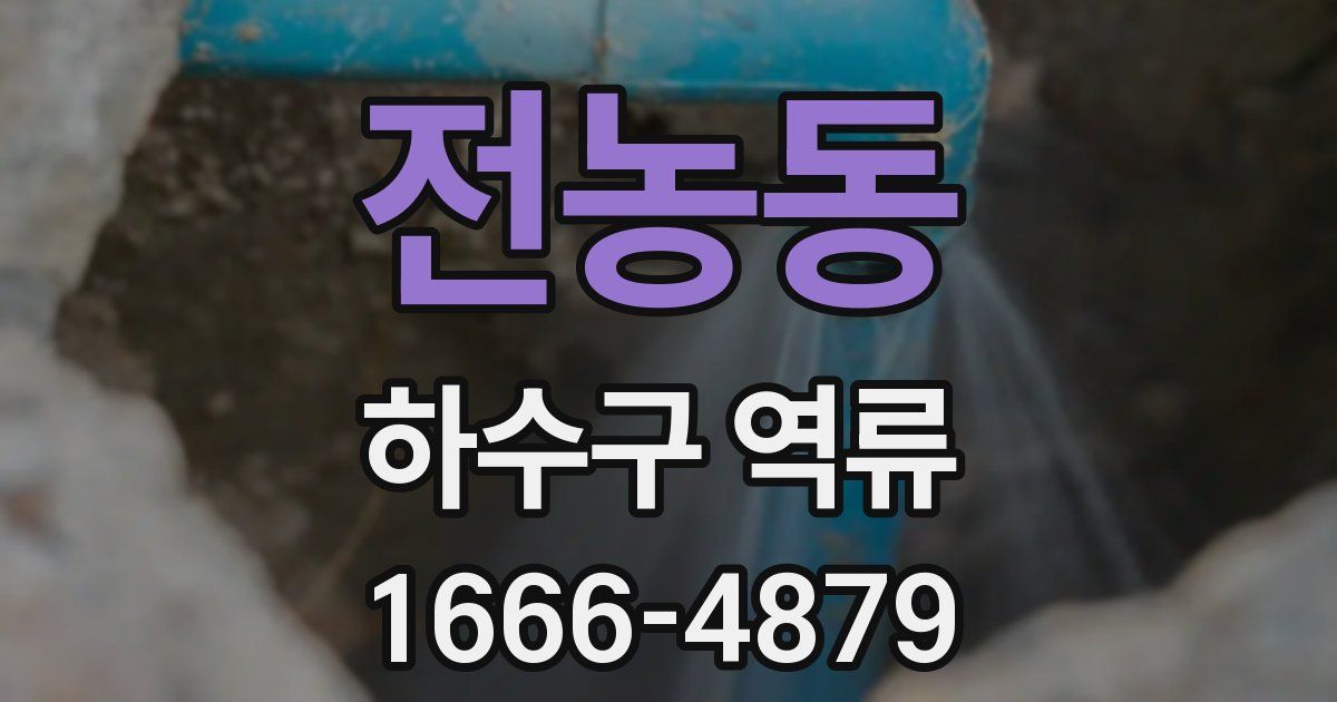 전농동 하수구 역류