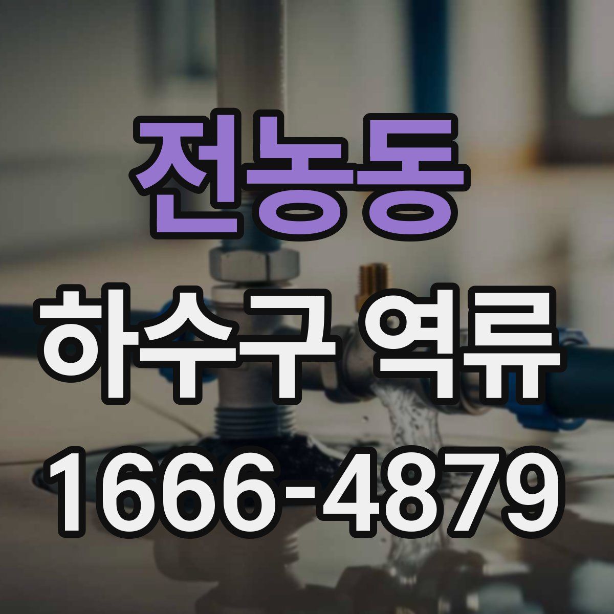 전농동 하수구 역류
