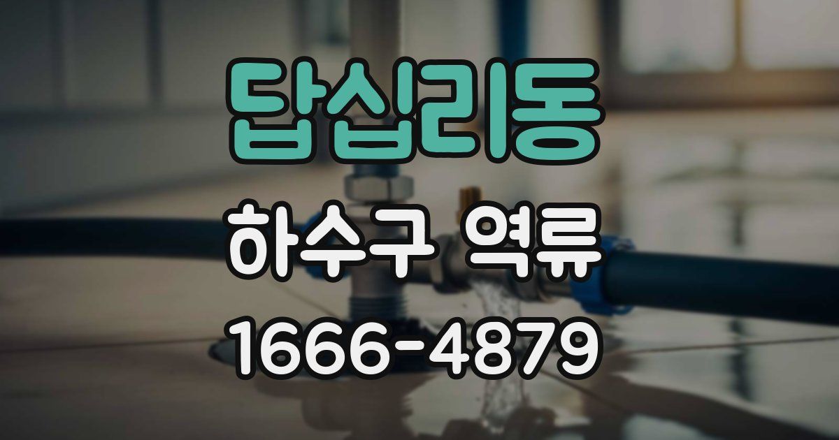 답십리동 하수구 역류