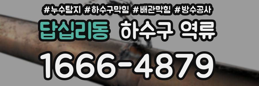 답십리동 하수구 역류