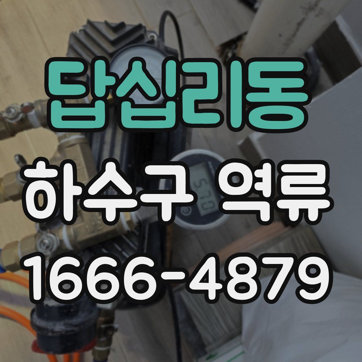 답십리동 하수구 역류