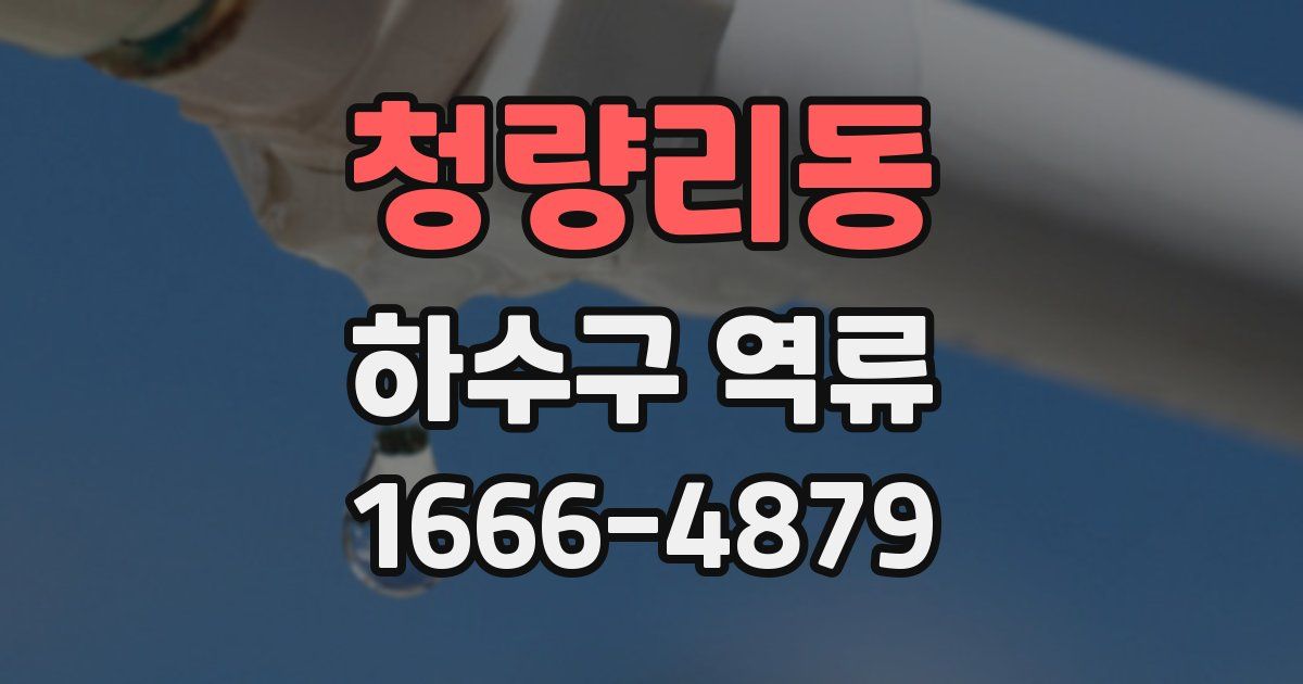 청량리동 하수구 역류