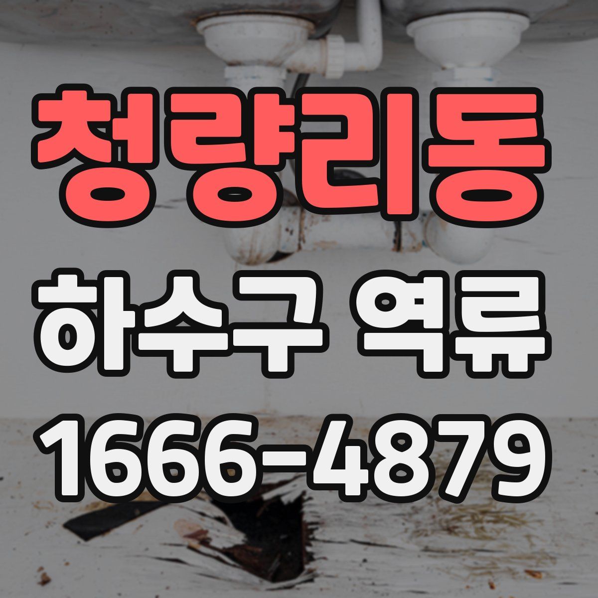 청량리동 하수구 역류