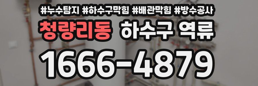청량리동 하수구 역류