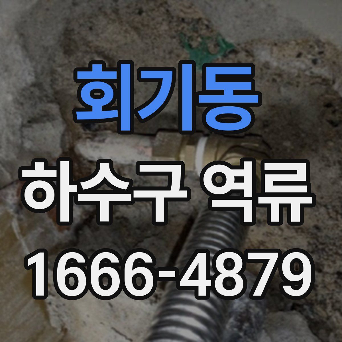 회기동 하수구 역류