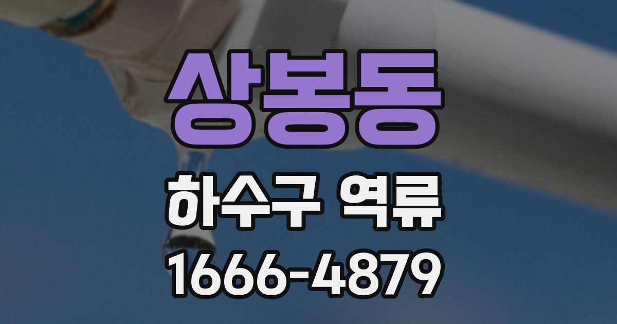 상봉동 하수구 역류