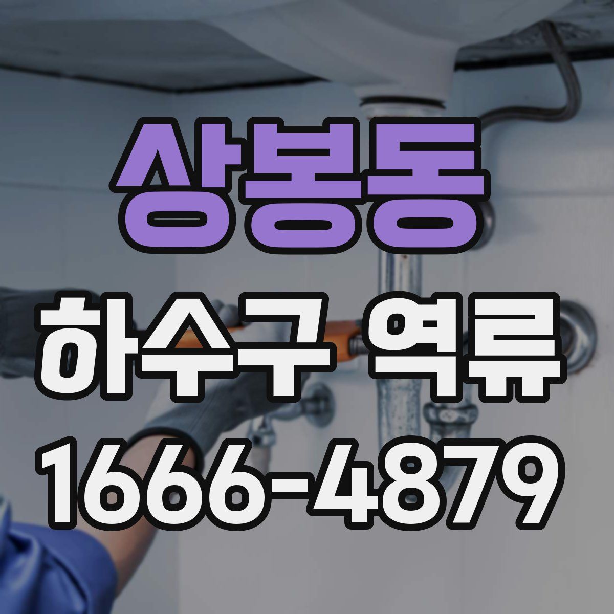상봉동 하수구 역류