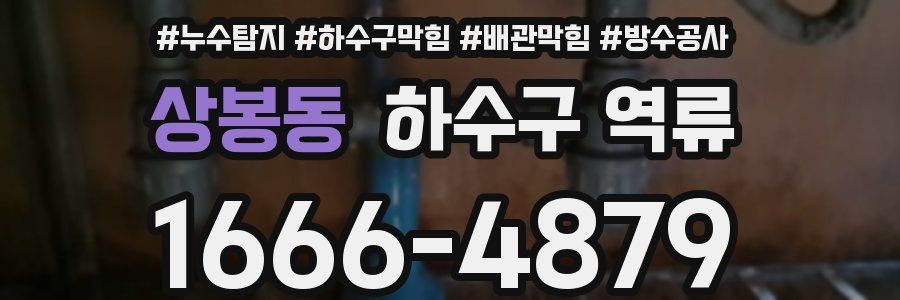 상봉동 하수구 역류