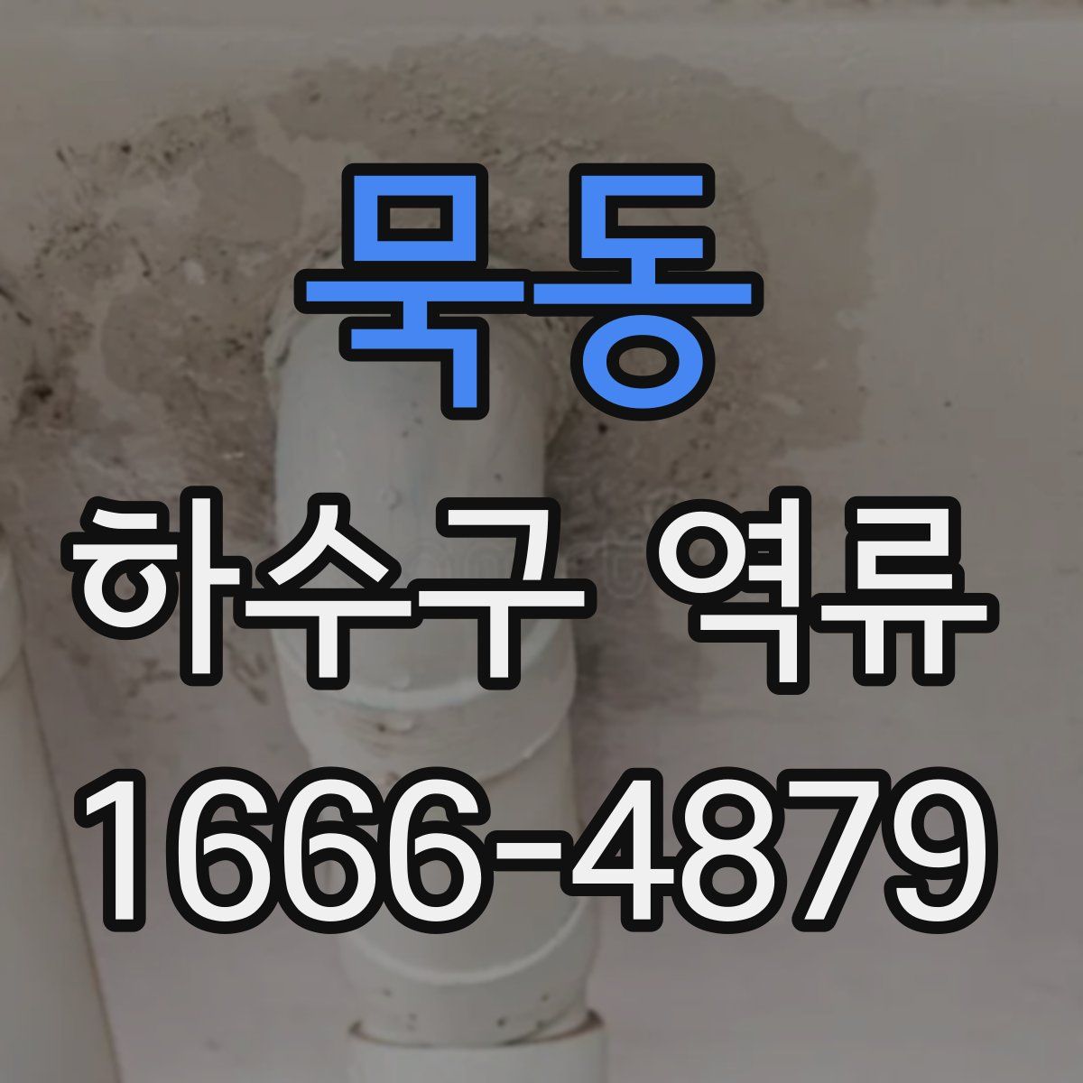 묵동 하수구 역류