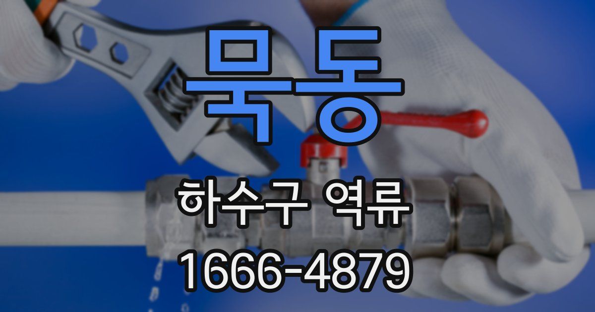 묵동 하수구 역류