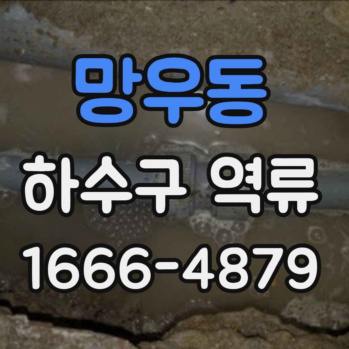 망우동 하수구 역류