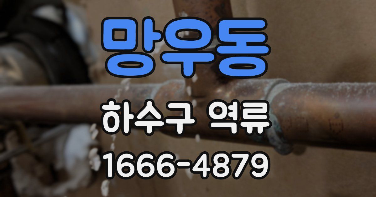 망우동 하수구 역류