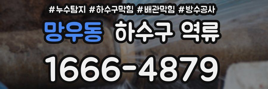 망우동 하수구 역류