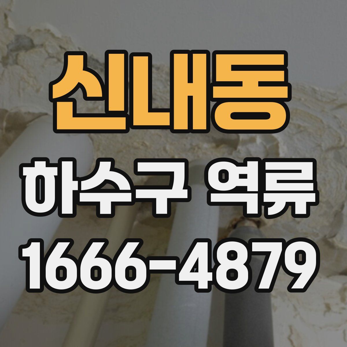 신내동 하수구 역류