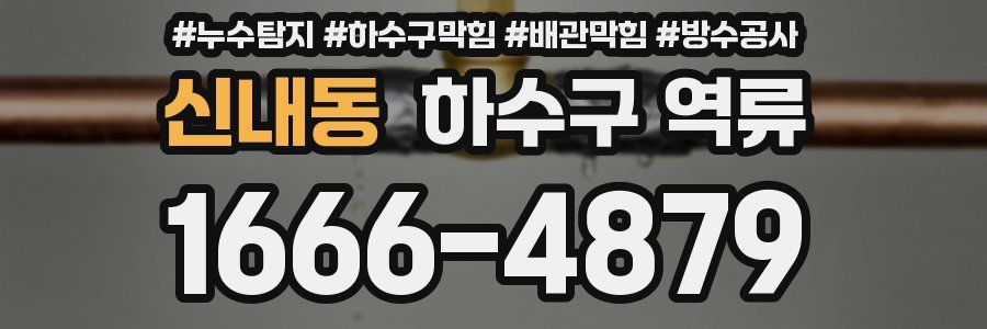 신내동 하수구 역류