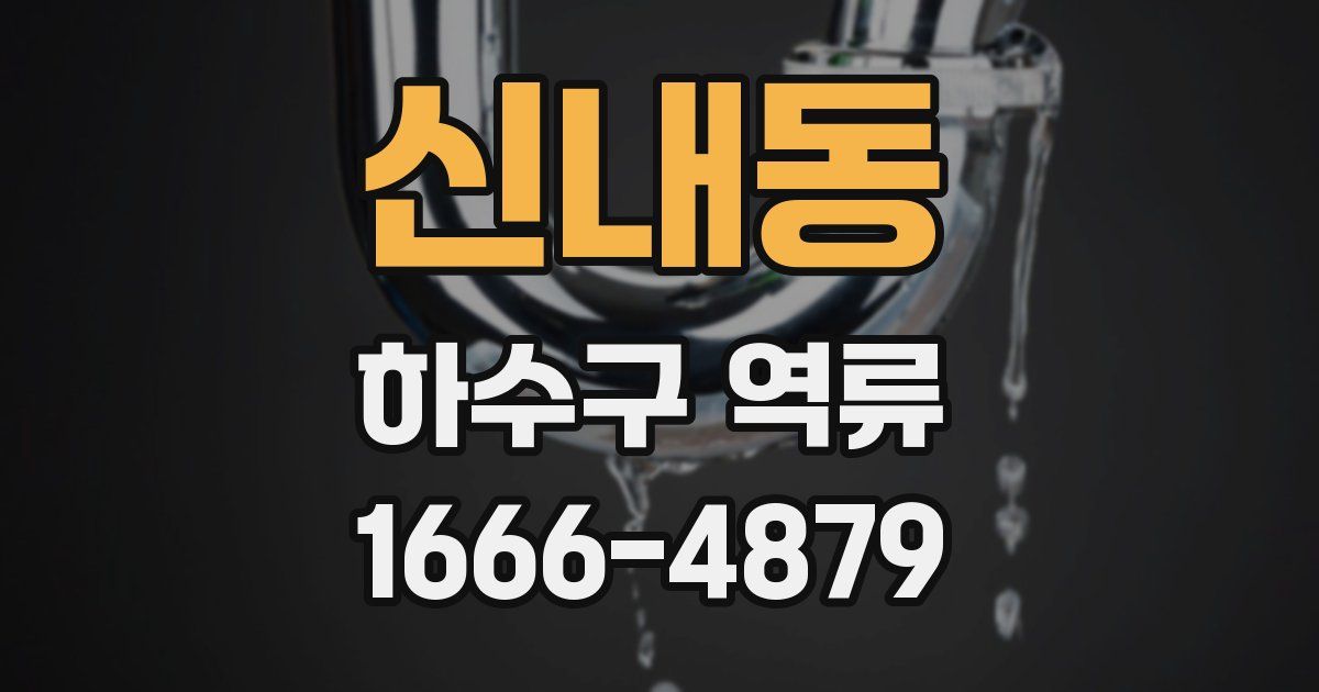 신내동 하수구 역류