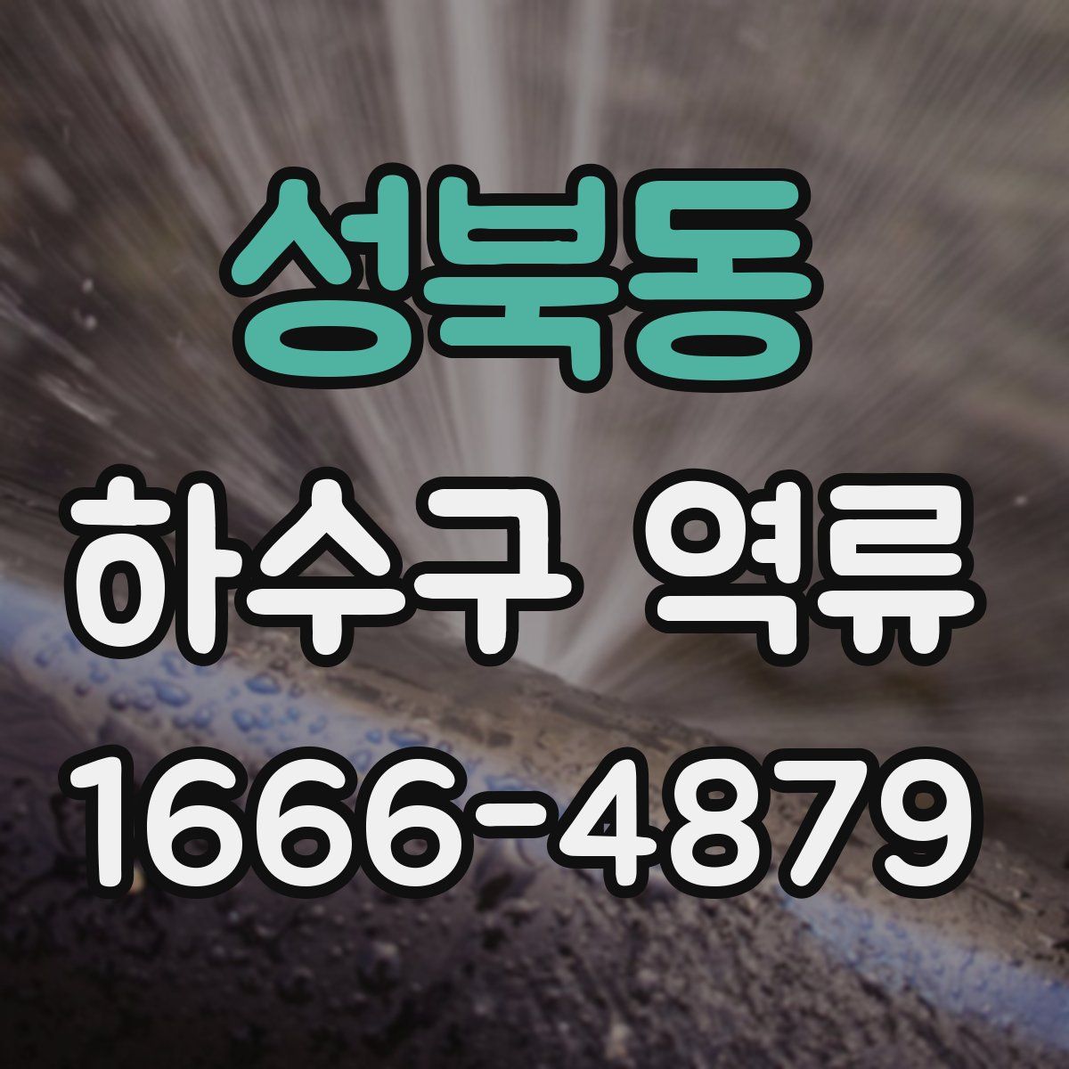 성북동 하수구 역류