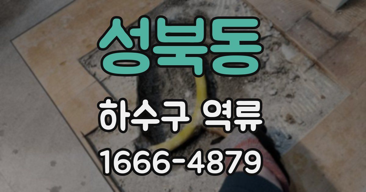 성북동 하수구 역류