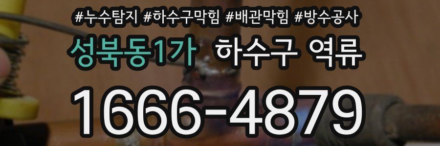 성북동1가 하수구 역류