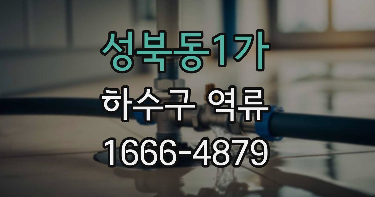 성북동1가 하수구 역류
