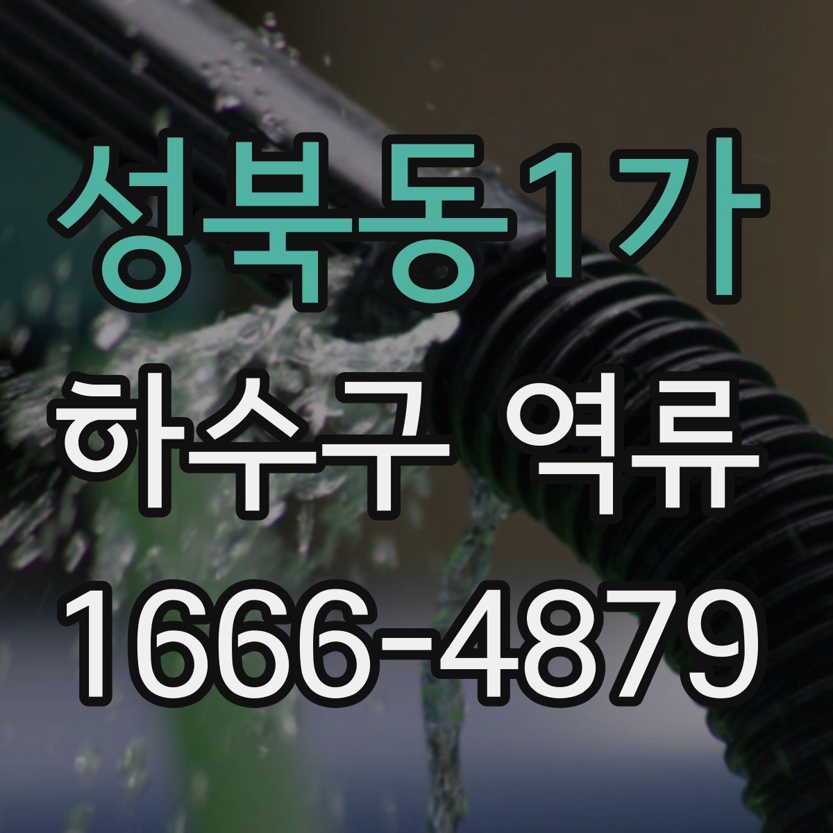 성북동1가 하수구 역류