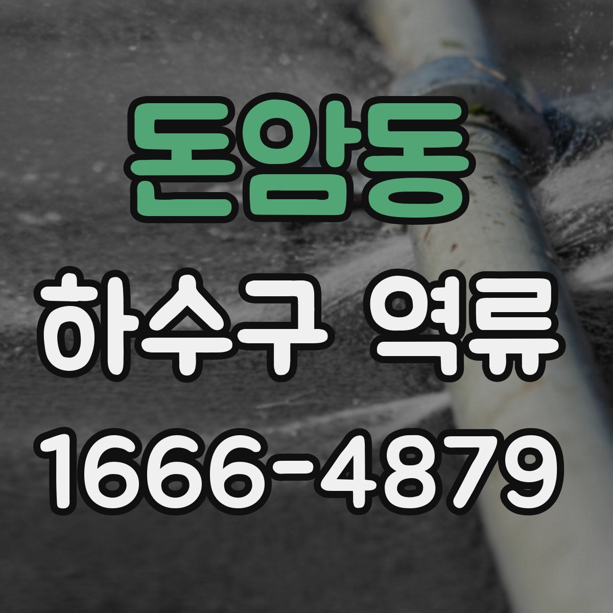 돈암동 하수구 역류