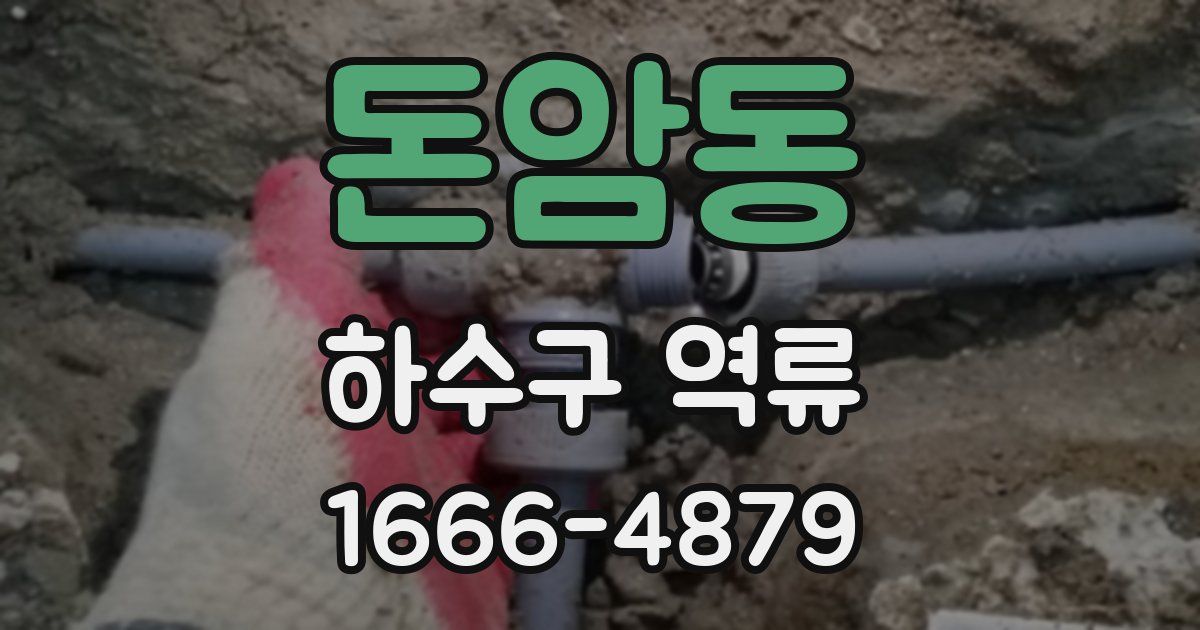 돈암동 하수구 역류