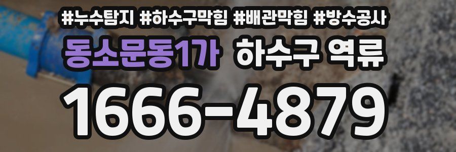 동소문동1가 하수구 역류