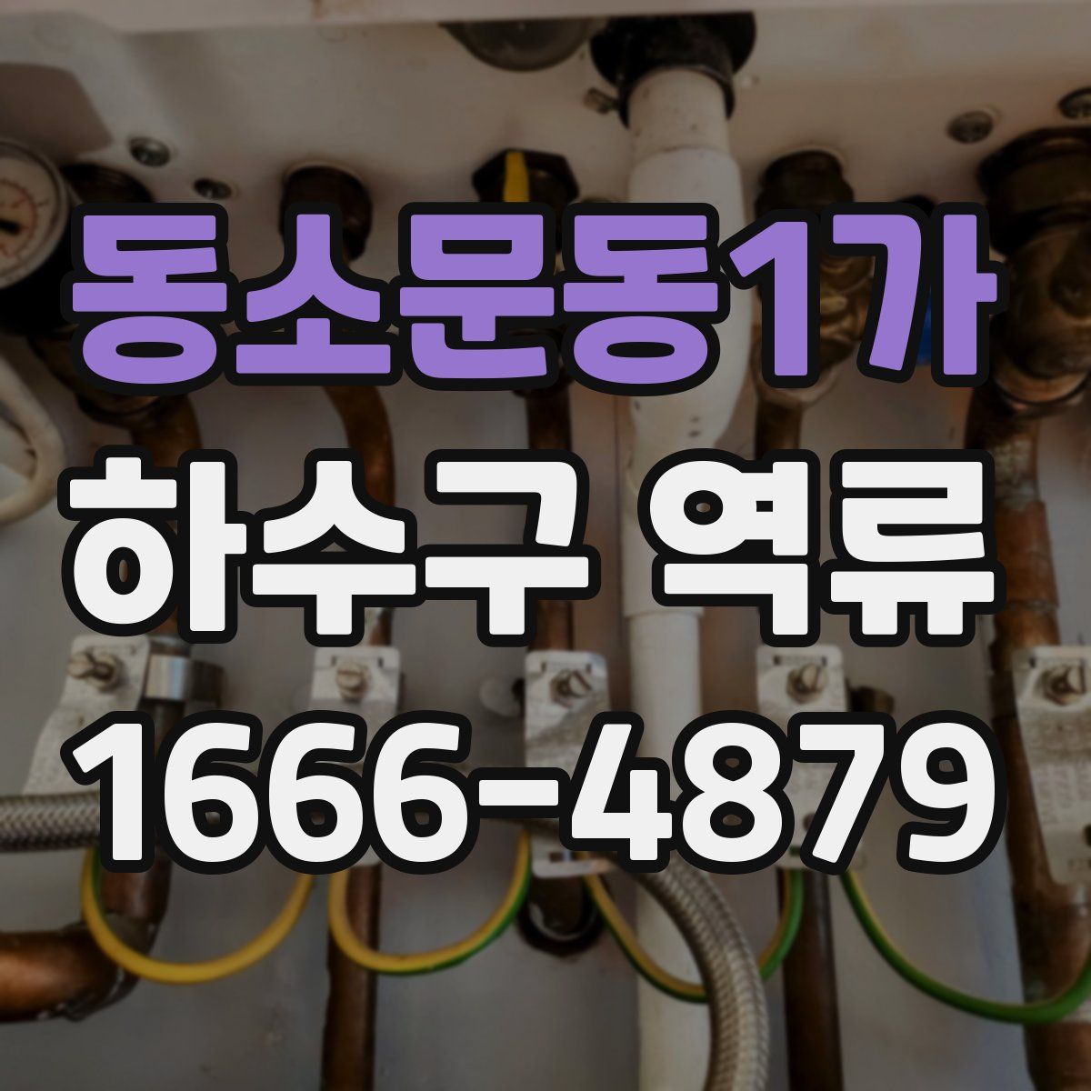 동소문동1가 하수구 역류