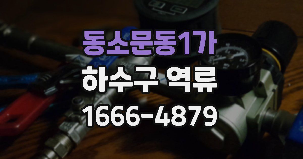 동소문동1가 하수구 역류