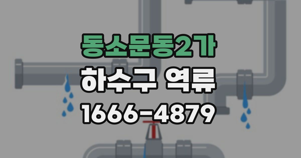 동소문동2가 하수구 역류