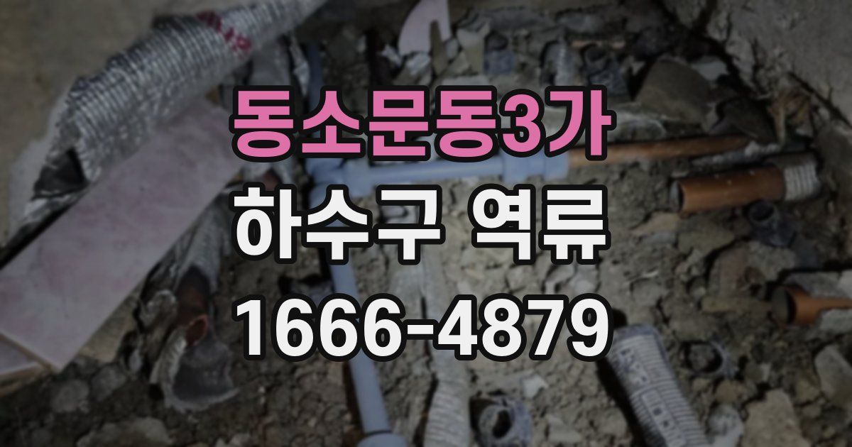 동소문동3가 하수구 역류