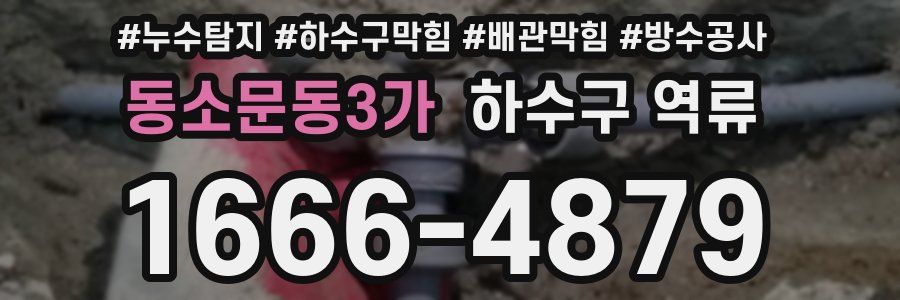 동소문동3가 하수구 역류