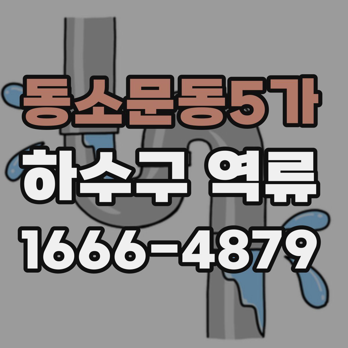동소문동5가 하수구 역류