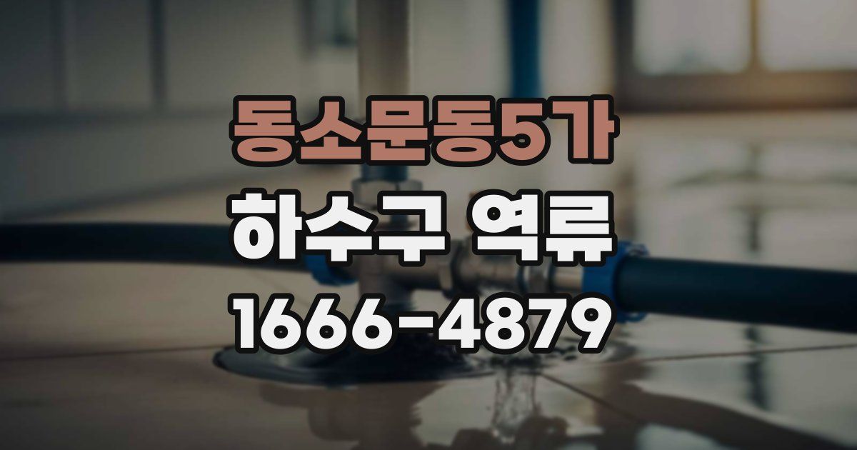 동소문동5가 하수구 역류