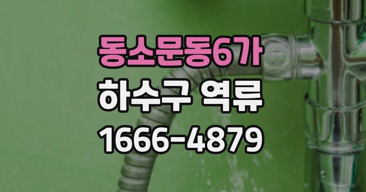 동소문동6가 하수구 역류