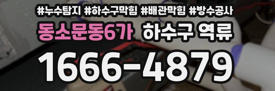 동소문동6가 하수구 역류