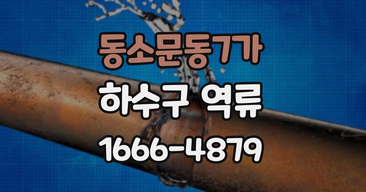 동소문동7가 하수구 역류
