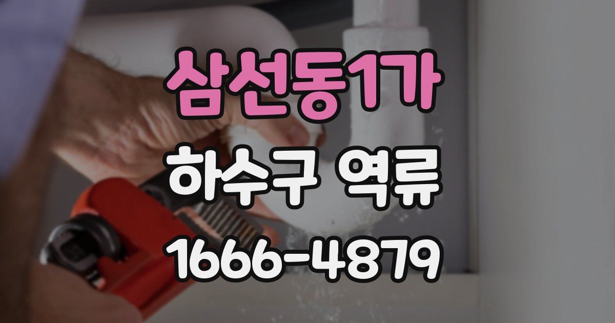 삼선동1가 하수구 역류