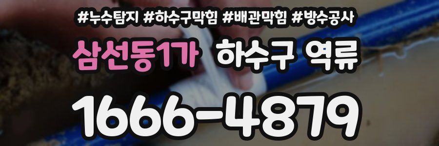 삼선동1가 하수구 역류