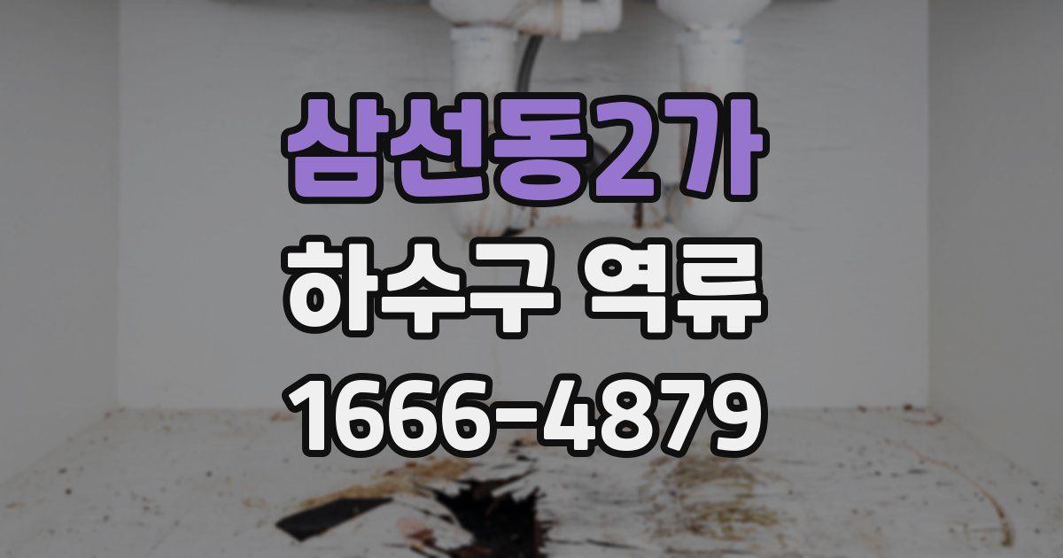 삼선동2가 하수구 역류