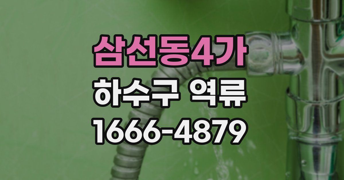 삼선동4가 하수구 역류